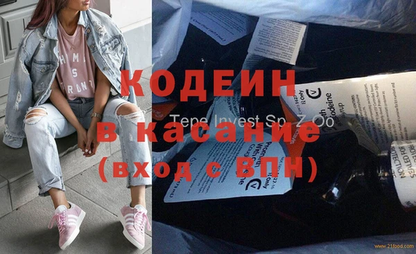 ГАЛЛЮЦИНОГЕННЫЕ ГРИБЫ Лагань