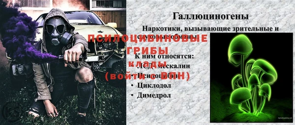 ГАЛЛЮЦИНОГЕННЫЕ ГРИБЫ Лагань