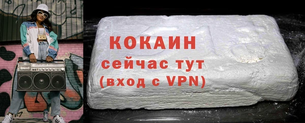 ГАЛЛЮЦИНОГЕННЫЕ ГРИБЫ Лагань