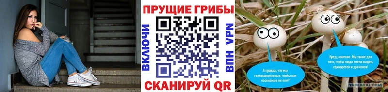 Псилоцибиновые грибы прущие грибы  KRAKEN онион  Камышин 